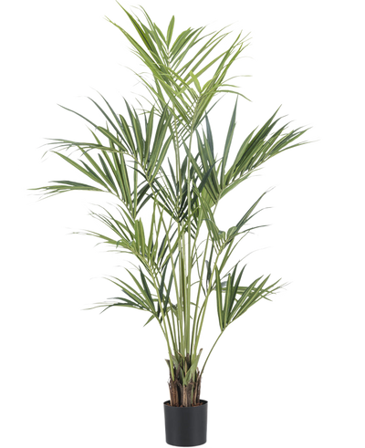 De Kunstplant Kentia Palm 190 cm brandvertragend heeft lange, slanke groene bladeren en meerdere dunne stelen in een eenvoudige zwarte pot, tegen een effen witte achtergrond.