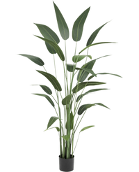 Artificial plant heliconia 180 cm