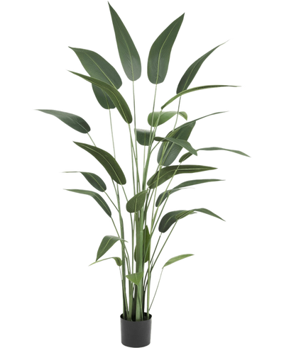 Kunstplant Heliconia 180 cm met lange, slanke groene bladeren in een zwarte pot op een witte achtergrond-een stijlvolle keuze voor wie kunstplanten koopt of realistische kunstplanten aan het interieur wil toevoegen.