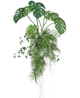 De Kunst hangplant Monstera/Varen bal 100 cm XL heeft weelderige groene tropische bladeren, waaronder splitbladmonstera en varens, met slingerende ranken en luchtwortels, prachtig gerangschikt en geïsoleerd op een witte achtergrond.