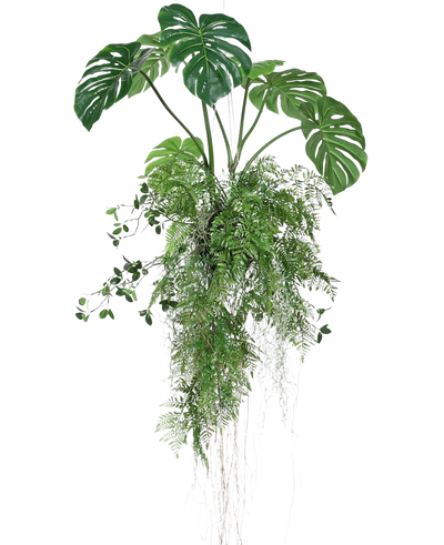 De Kunst hangplant Monstera/Varen bal 100 cm XL heeft weelderige groene tropische bladeren, waaronder splitbladmonstera en varens, met slingerende ranken en luchtwortels, prachtig gerangschikt en geïsoleerd op een witte achtergrond.