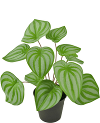 Artificial Plant Watermelon 29 cm