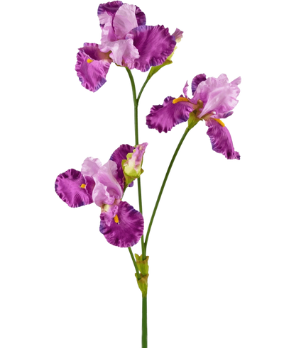 De Kunstbloem Iris 102 cm paars heeft een lange groene steel versierd met verschillende levendige paarse en witte irisbloemen, elk met ruches op de bloemblaadjes en gele accenten, tegen een effen witte achtergrond.