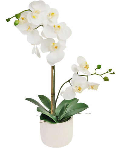 De Kunst Orchidee Real Touch 60 cm wit heeft delicate witte bloemen, groene knoppen en brede groene bladeren, ondersteund door een dunne staak in een kleine witte pot.