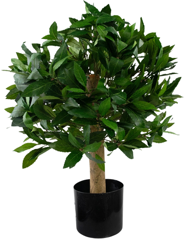 De Kunstplant Laurier UV d40 cm is een kleine kunstboom met dichte groene bladeren in een zwarte pot, afgebeeld tegen een witte achtergrond.