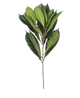The Artificial Leaf Cyathistipula 63 cm fire retardant has a single branch with multiple elongated green leaves in different shades on a slender brown stem, against a white background.