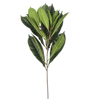 The Artificial Leaf Cyathistipula 63 cm fire retardant has a single branch with multiple elongated green leaves in different shades on a slender brown stem, against a white background.