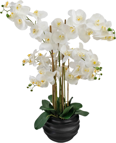 De Kunst Orchidee Real Touch 85 cm wit heeft grote witte orchideeënbloemen met een geel hart en glanzend groene bladeren, prachtig gerangschikt in een zwarte pot van keramiek.