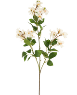 De Kunstbloem Lagerstroemia 92 cm wit heeft een hoge stengel met trossen kleine witte bloemen en groene bladeren, perfect om blijvende schoonheid toe te voegen aan elke ruimte. Ideaal als opvallende kunstplant tegen een effen witte achtergrond.