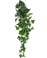 De Kunst hangplant Klimop Boston is een groene klimop van 100 cm op een lange steel, perfect voor decoratie en geïsoleerd op een witte achtergrond.