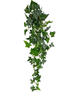 De Kunst hangplant Klimop Boston is een groene klimop van 100 cm op een lange steel, perfect voor decoratie en geïsoleerd op een witte achtergrond.