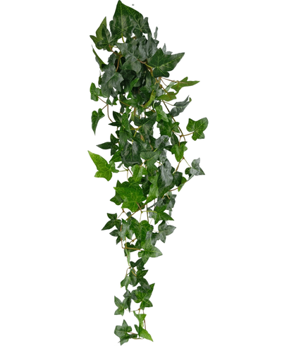 De Kunst hangplant Klimop Boston is een groene klimop van 100 cm op een lange steel, perfect voor decoratie en geïsoleerd op een witte achtergrond.