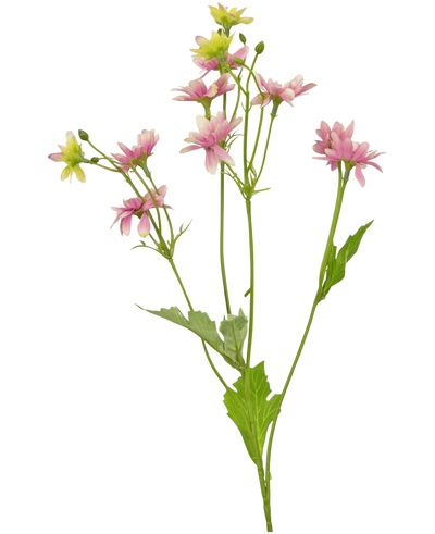 De Kunstbloem Madelief 55 cm roze is een kunstbloem met een enkele groene steel met verschillende takken, elk versierd met delicate roze en witte margrietachtige bloemen en gekartelde groene bladeren, afgebeeld tegen een witte achtergrond.