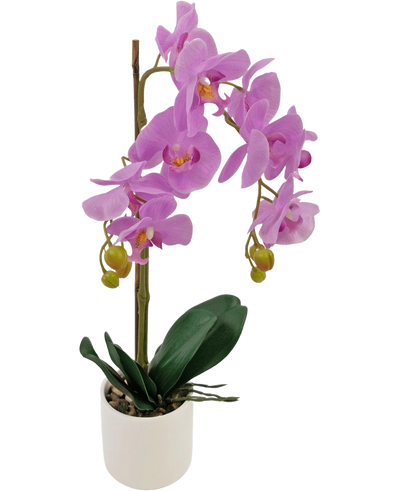 De Kunst Orchidee 52 cm lila in witte pot heeft levendige lila bloemen, groene knoppen en brede donkergroene bladeren, gerangschikt in een stijlvolle witte pot tegen een effen witte achtergrond.