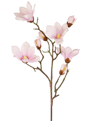 De Kunstmagnoliatak Real Touch Roze 98cm heeft verschillende lichtroze magnolia bloemen en knoppen met zachte bloemblaadjes, een geel hart en bruine stelen, allemaal tegen een witte achtergrond.