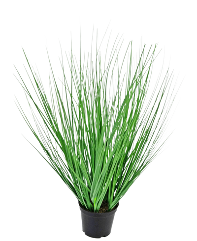 The Artificial Grass Plant Onion 50 cm fire retardant has long, thin, green grass-like leaves spreading outwards from the center, presented in a pot against a plain white background.
