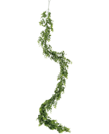 De Kunst slingerplant Pumila 182 cm heeft een lange, kronkelende groene liaan met kleine blaadjes, die verticaal hangt tegen een effen witte achtergrond.