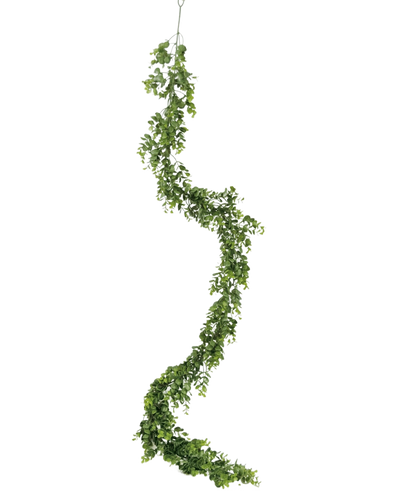 De Kunst slingerplant Pumila 182 cm heeft een lange, kronkelende groene liaan met kleine blaadjes, die verticaal hangt tegen een effen witte achtergrond.
