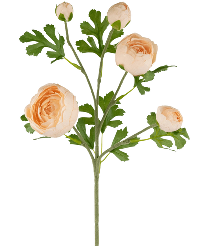 De Ranonkel kunsttak x5 Real Touch roze 62cm heeft één steel met drie volledig uitgebloeide perzikkleurige ranonkels en twee knoppen, geaccentueerd door groene, diep gelobde bladeren, alles tegen een witte achtergrond.