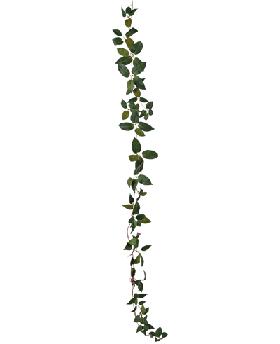 De Kunst Tradescantia Slinger Groen 180 cm is een enkele groene bladrank die verticaal staat afgebeeld tegen een effen witte achtergrond.