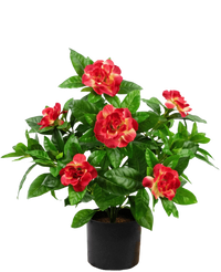 Artificial Plant Gardenia 39 cm Fuchsia