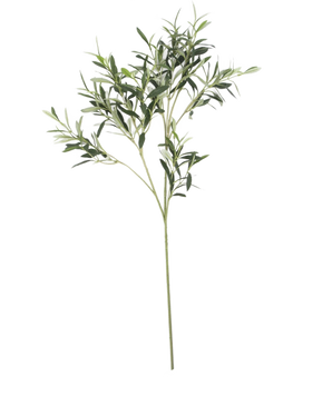 The Artificial olive leaf 90 cm UV, with slim green leaves and a long stem, stands out against a white background for a subtle Mediterranean atmosphere.