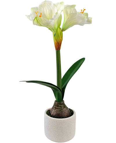 De Kunstbloem Amaryllis Real Touch wit 48 cm heeft een levensechte witte amaryllis met groene bladeren die uit een bol groeien, in een kleine witte pot en geïsoleerd op een witte achtergrond.