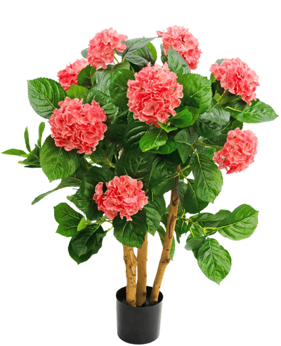 De Kunstplant Hortensia UV 85 cm roze heeft meerdere stelen, brede groene bladeren en roze hortensiabloemen in een zwarte pot, wat zorgt voor een levendig contrast en een levensechte weergave.