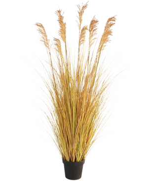De Kunst Grasplant Sorghum 150 cm brandvertragend heeft lange geelgroene sprieten en hoge bruine pluimen, waardoor het een perfecte keuze is voor interieurdecoratie tegen een witte achtergrond.
