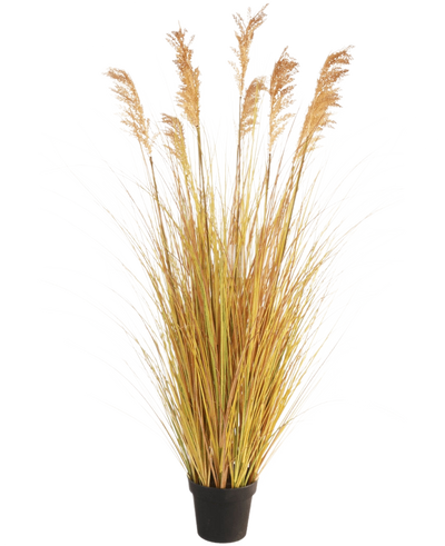 De Kunst Grasplant Sorghum 150 cm brandvertragend heeft lange geelgroene sprieten en hoge bruine pluimen, waardoor het een perfecte keuze is voor interieurdecoratie tegen een witte achtergrond.