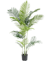De Kunstplant Phoenix 160 cm heeft meerdere slanke groene stelen en lange, overhangende bladeren, die een luxe uitstraling geven aan elke ruimte en de schoonheid van tropische planten oproepen tegen een frisse witte achtergrond.