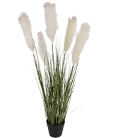De Kunstgras stoffen riet-ui graspot 120cm brandvertragend heeft hoge groene grasachtige bladeren en pluizige witte pampaspluimen in een zwarte pot, tegen een effen witte achtergrond.
