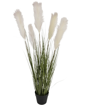 De Kunstgras stoffen riet-ui graspot 120cm brandvertragend heeft hoge groene grasachtige bladeren en pluizige witte pampaspluimen in een zwarte pot, tegen een effen witte achtergrond.