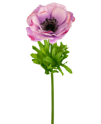 De Kunstanemoon Real Touch paars 52cm heeft een enkele paarse en roze anemoon met delicate bloemblaadjes, een donker hart, heldergroene bladeren en een lange steel, tegen een witte achtergrond.