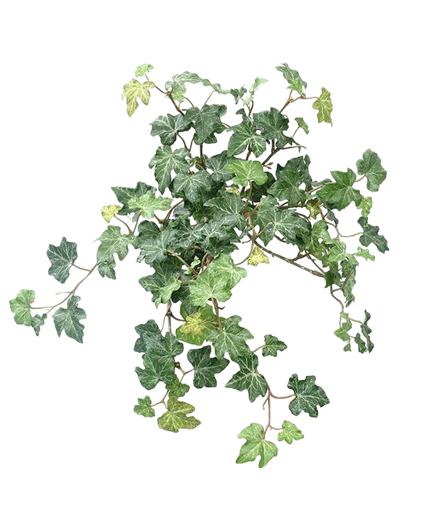 The Artificial Ivy Deluxe Green 40cm features a cluster of vibrant green ivy leaves with twining vines against a plain white background.