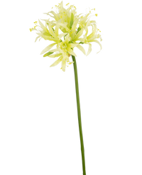 Artificial Flower Nerine 70 cm Green
