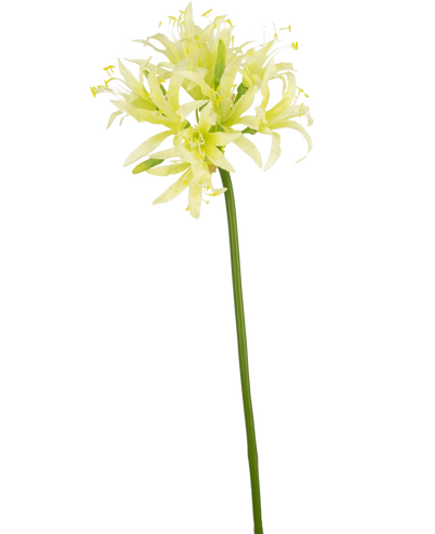 De Kunstbloem Nerine 70 cm groen heeft een lange groene steel met daarop delicate lichtgele en witte lelie-achtige bloemen, perfect als elegant zijde bloem accent in een decoratie vaas tegen een effen witte achtergrond.