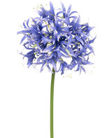 Een Kunstbloem Nerine 70 cm paars met veel kleine stervormige paarse bloesems in een bolvormige cluster op een lange groene steel, tegen een effen witte achtergrond.