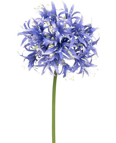 Een Kunstbloem Nerine 70 cm paars met veel kleine stervormige paarse bloesems in een bolvormige cluster op een lange groene steel, tegen een effen witte achtergrond.