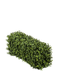 Artificial Boxwood Hedge 70 x 20 x 25 cm UV-resistant-Resistant