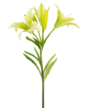 The Artificial Flower Asiatic Lily 66 cm white has a single stem with green leaves and three light green lily flowers - two fully open, one in bud - shown against a plain white background.