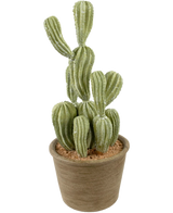 De Kunst Cactus Cereus 35 cm heeft rechtopstaande, geribbelde groene stelen in een ronde lichtbruine pot gevuld met bruin grind.
