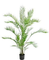 Artificial Plant Chamaedorea 150 cm