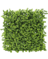 De Kunsthaag Moss 50x50 cm UV is een dicht vierkant paneel van kunstmatig groen gebladerte met kleine bladertakjes, van bovenaf afgebeeld op een witte achtergrond.