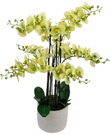 The Artificial Orchid Real Touch 81 cm green has light green orchid flowers with dark green leaves in a light gray pot, against a white background.