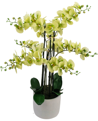 The Artificial Orchid Real Touch 81 cm green has light green orchid flowers with dark green leaves in a light gray pot, against a white background.