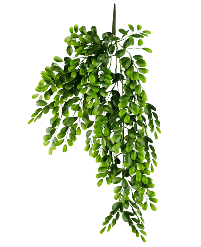 De Kunst hangplant Pumila 86 cm is een realistische kunsttak met meerdere stelen van kleine, heldergroene ovale bladeren, die weelderig en trapsgewijs lijken op een effen witte achtergrond.