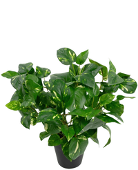 Artificial plant Golden Vine in Pot 40cm